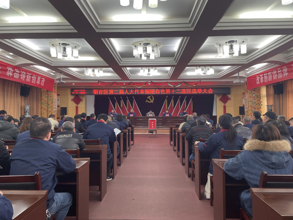 公司完成銅官區(qū)第二屆人大代表選舉工作 公司完成銅官區(qū)第二屆人大代表選舉工作